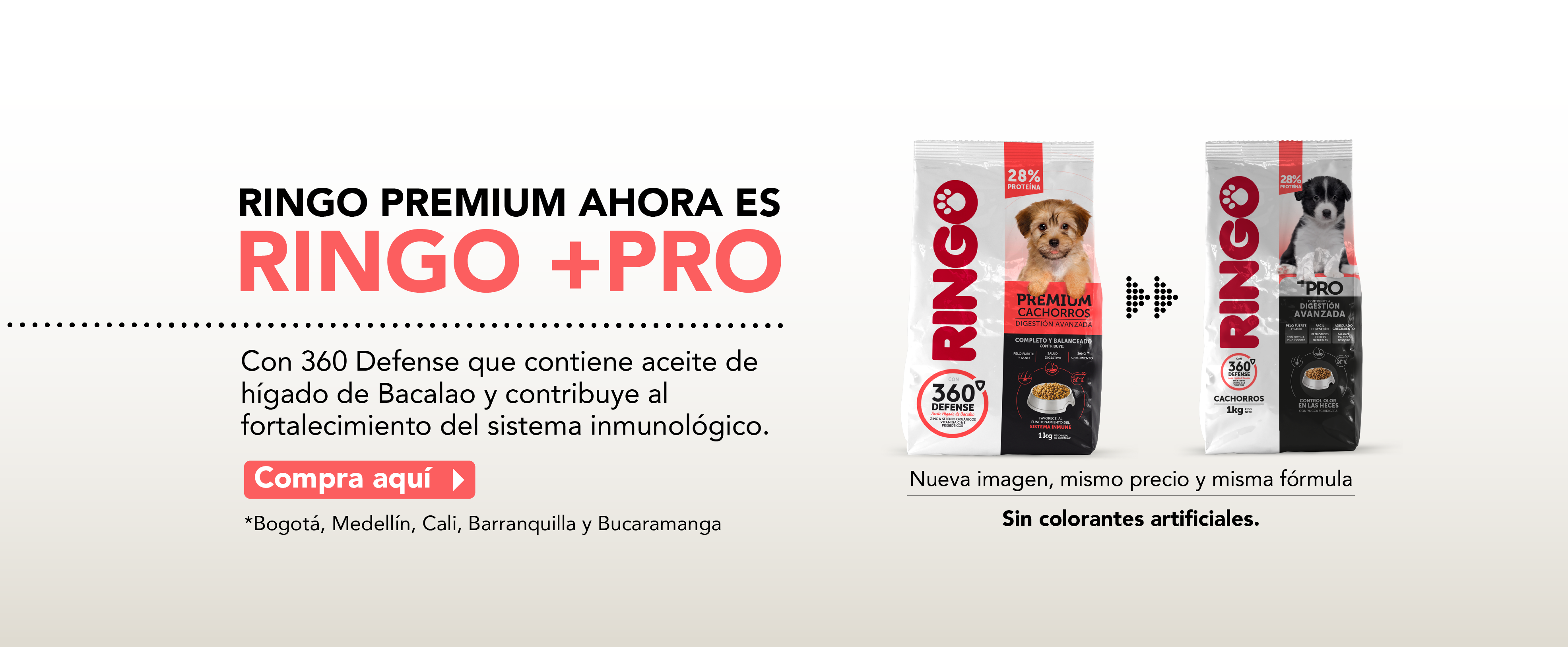 Ringo + Pro cachorros